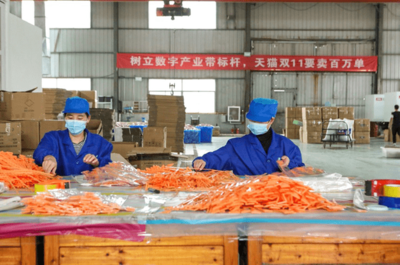 天貓雙11開(kāi)門(mén)紅 產(chǎn)業(yè)帶爆發(fā)式增長(zhǎng)，7個(gè)產(chǎn)地首小時(shí)銷(xiāo)售額破億，日用百貨引領(lǐng)消費(fèi)熱潮