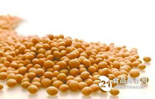 大豆膳食纖維提取工藝研究 技術(shù)與應(yīng)用前景